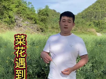 是菜花蛇厉害还是眼镜王蛇厉害呢#蛇#王锦蛇#眼镜王蛇#知识分享 #过山风