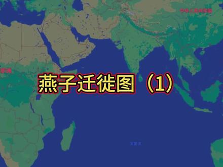 燕子迁徙路线图 #候鸟迁徙 #候鸟迁徙足迹 #燕子迁徙