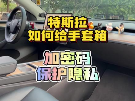 #特斯拉 如何给手套箱加密码,让它变成密码箱,大大保护隐私安全 #特斯拉modely #特斯拉model3 #每天一个用车知识
