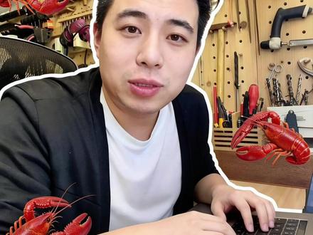 1799元开始养虾第一天! 养虾第一天,说说本地养虾的电脑我是怎么选的
#Openclaw #龙虾 #养虾人 #AI