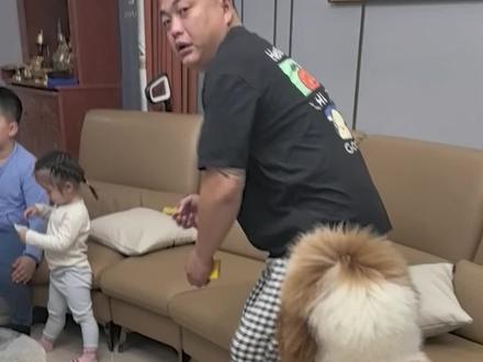 多米回家了@娥哥家75弟<老崔>