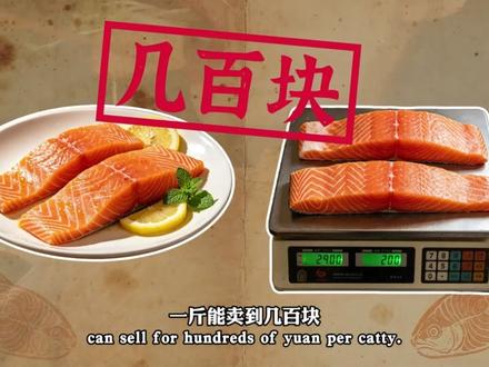 看懂"三文鱼背后的"资本局",让你以后吃鱼心里有数 #三文鱼 #养殖三文鱼 #食品安全 #抗生素 #资本游戏