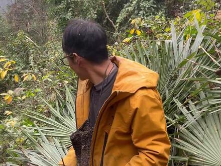 沉浸式感受荒野首富健哥打野!这波血亏还是血赚?1分钟看完荒野求生神反转。#荒野首富 #七星山荒野求生决赛 #健哥