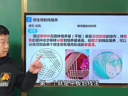 高中生物:平板划线法(上)
#高中生物 #高中 #高中生物知识 #平板划线法 #高中生物怎么学