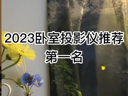 2023卧室投影仪推荐第一名!
千元投影仪王者哈趣k1pro高性价比,超推荐!
#家用投影仪推荐 #投影仪 #投影仪推荐 #家用投影仪 #投影机