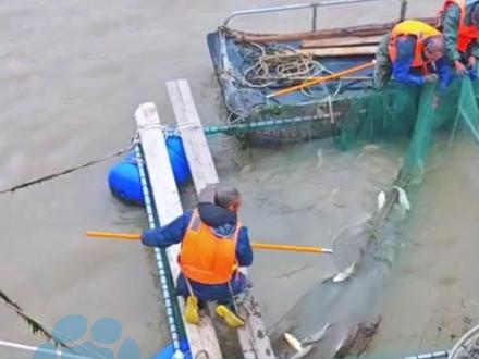 1月30日浙江舟山,招聘“守岛人”爆火:每天数百人咨询!公司总经理:首期无工资但包食宿,每月补贴3000-5000元,需精通摄影航拍、视频制作全流程 #大象主播说