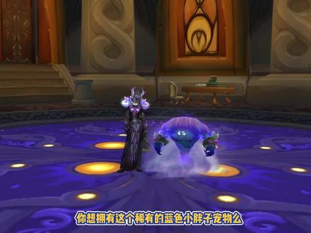 达拉然隐藏小宠物,解锁一个成就点击就送,附带八本书籍详细位置 #魔兽世界 #WLK #魔兽怀旧服