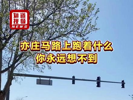 亦庄马路上跑着什么,你永远想不到