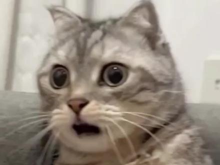 告诉我妈今晚不回家了我得去趟现场了! #穿普拉达的女王#电影