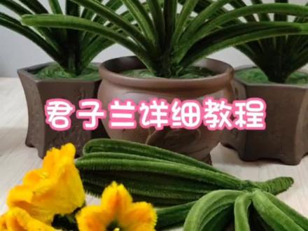 扭扭棒君子兰详细教程#手工diy #教程 #手工 #手工花制作