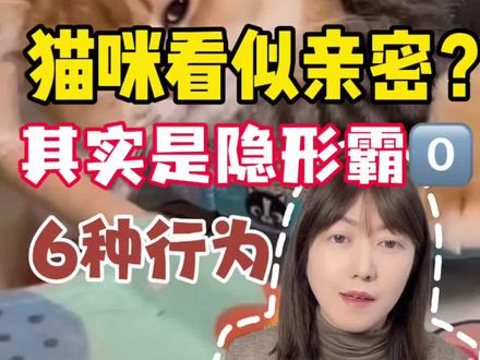 猫咪看似亲密?其实是隐形霸0️⃣!这6个信号一定要警惕#养猫冷知识 #新手养猫 #养猫日常