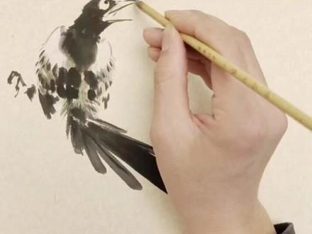 干货-喜鹊画法#原创#教学#热门#谁说国画不抖音#充能计划#王雪涛#教程#写意花鸟 @抖音文化站 @头条热榜