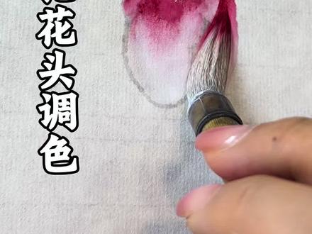 荷花调色,看这一篇就够了#国画教程 #零基础国画 #国画荷花 #国画教学 #国画