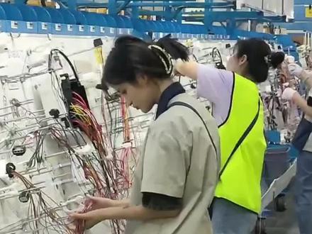 通过60人当天跑10个,进车间第一天跑30个,第二天跑15个,还剩下5个老实人!#进厂打工 #暑假工 #打工人