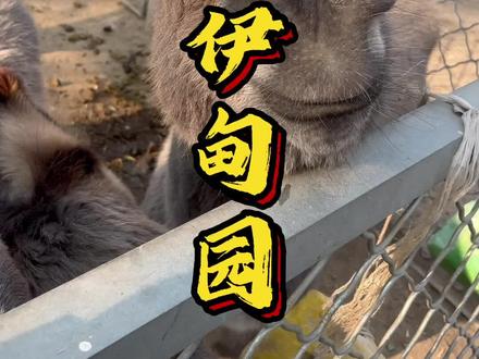 #秋日玩乐档案 #周末去哪玩 #萌宠 #跟着抖音去探店 寒假不出京,嗨玩一整天的地方@DOU+小助手