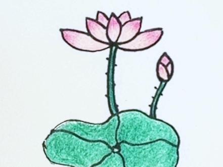 三个U画荷花#简笔画#亲子简笔画教学 #一学就会的简笔画