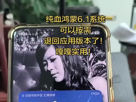 纯血鸿蒙6.1系统可以按需退回应用版本了 嘎嘎实用!