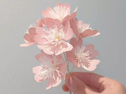 “日子是崭新的,每天都是☀️”超好好好看的樱花折纸来了 只需一张纸 快和姐妹们折起来叭~#手工diy #折纸教程 #一学就会系列 #仙女必备 #樱花