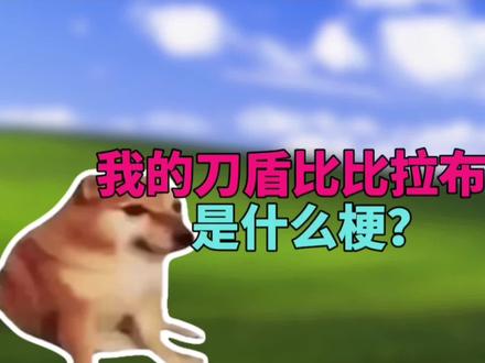 我的刀盾比比拉布是什么梗?#梗 #抽象 #比比拉布 #我的刀盾 #猫meme