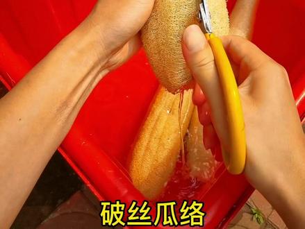 意想不到,拿丝瓜络做的鞋垫这么香#丝瓜络鞋垫 #农产品深加工 #吸汗鞋垫 #防臭鞋垫 #手工制作
