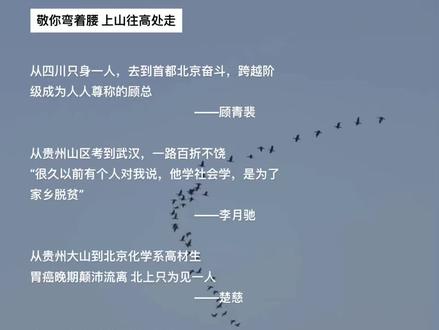 敬你弯着腰 上山往高处走
#顾青裴 #李月驰 #楚慈 #宁一宵