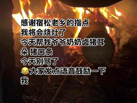 终于会烧灶了!将不要发语音骂我了😂夸下我!#回老家才有的人间美味 #家乡大锅煮出人间美味 #技术活一般人来不了