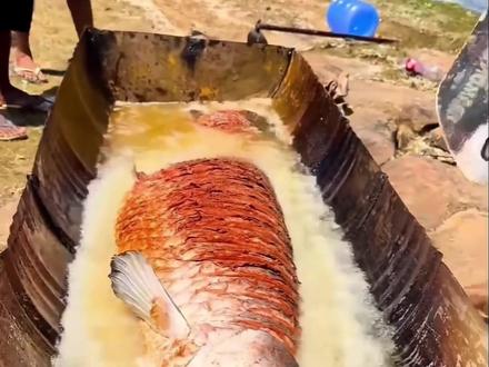 几十斤巨骨舌鱼直接扔油锅,滋啦作响,这场面谁看谁震撼! #美食 #美食教程 #户外 #巨骨舌鱼 #热点