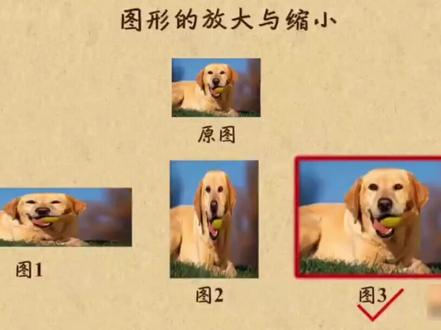 #创作灵感 小升初图形的放大#趣味数学 #快乐学习 #教育培训