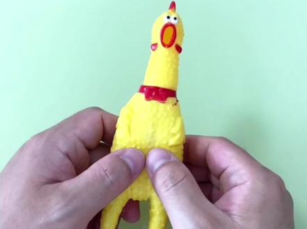 大小尖叫鸡发音的不同 #迷惑行为