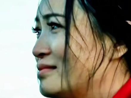 结尾晕开的眼泪,你是不是也在想念 #重返狼群 #李微漪 #格林 #感动 #动物