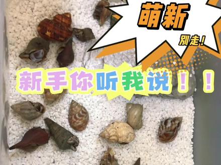 就是简单一些养蟹知识~有其他问题欢迎一起学习进步❤️
