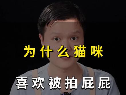 为什么猫咪喜欢被拍屁屁#猫咪 #新手养猫 #宠物猫