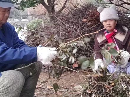 此视频纯属娱乐!@九江森哥 ,你真是个割裂钻了啊!狗咬吕洞宾,不识好人心!一件衣服算么东西! #冰红茶为你而来