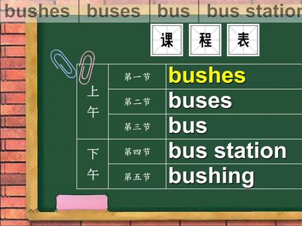 每日单词bushes、buses、bus、bus station、bushing是什么意思#学英语 #英语单词