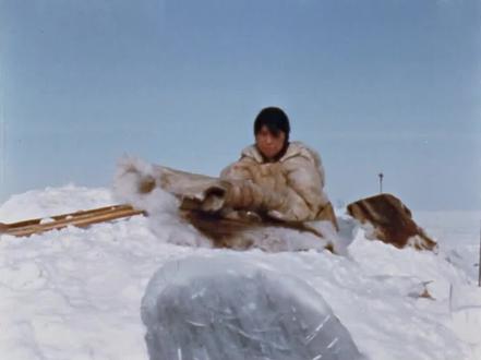 零下70度的北极,因纽特女人是如何处理经期问题? #因纽特人 #爱斯基摩人 #北极 #荒野求生 #野外生存