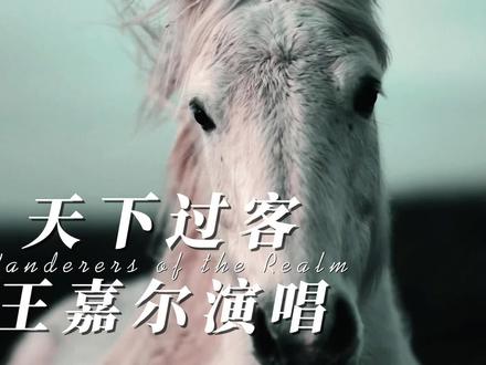 天下苍生皆过客,风猎猎,沙滚滚🏜️ 王嘉尔演唱《镖人》主题曲《天下过客》完整版#天下过客 #镖人 #镖人主题曲 #天下苍生皆过客 #全网都在看的电影