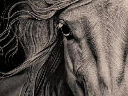 马年,放自己一马。 当了一年的“牛马”,马年不想再做马。#想画就画 #马年放自己一马 #画画 #马年 #画马 @抖音艺术