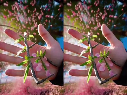 “携鲜花弓箭赴一场春日之约”每一次发射都是花瓣的掉落,每一次等待都是离开的前奏。桃花弓箭原视频 花朵弓箭转场视频 鲜花弓箭 玫瑰花弓箭转场教程 鲜花弓箭转场教程 #剪映 #携鲜花弓箭赴一场春日之约 #花弓箭精准射中我心巴 #鲜花弓箭 #花弓箭