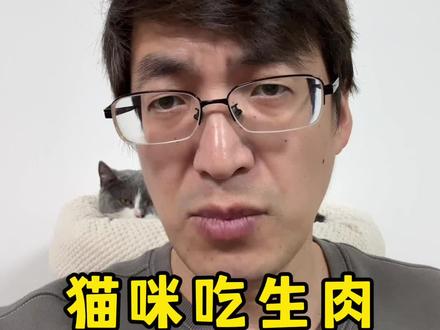 猫咪吃生肉会有危害吗#科学养宠攻略 #养猫经验分享 #养猫人 #猫知识