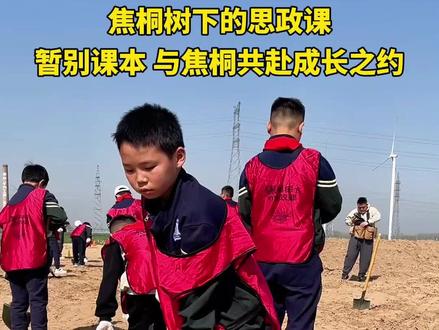 焦桐树下的思政课:暂别课本,与焦桐共赴成长之约