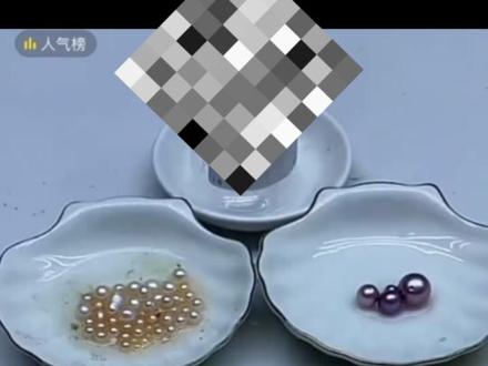 只是单纯的科普一下 别在对号入座了 抖音平台是禁止直播开蚌的 #开蚌取珍珠 #珍珠蚌 #珠宝知识 #珍珠科普 #珍珠蚌盲盒