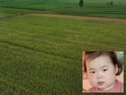#风力发电大风车 对气候的影响#