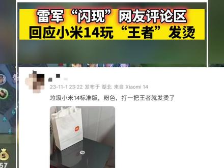 雷军闪现网友评论区回应小米14玩“王者”发烫