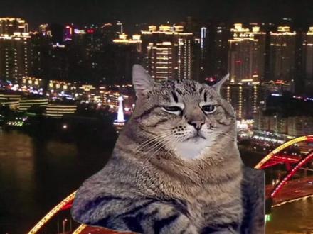 当00后接管文旅账号,还想看什么内容,欢迎评论区告诉我们#南充文旅 #00后整顿职场