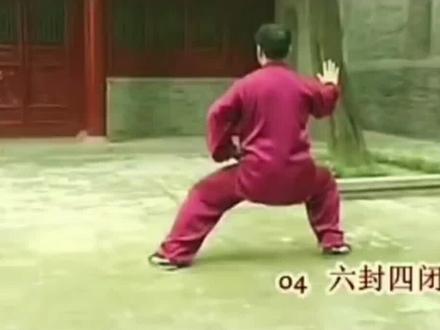 陈氏太极拳老架一路全套背向演练(带口令),张东武老师演练,#太极拳教学 #中国功夫博大精深 #传承弘扬中国传统文化