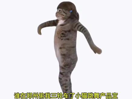 谁在郑州偷我三轮车了小猫跳舞产品宣传模版视频教程来喽,赶紧跟着步骤做起来吧#剪映#小猫跳舞产品宣传模版教程#导入一张照片#剪同款#小猫跳舞产品宣传模版