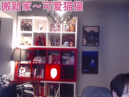 【蒲熠星】搬新家“可爱猫猫”瓜蛋瓜鸹乐一起探险#宠物 #蒲熠星 #直播 #可爱