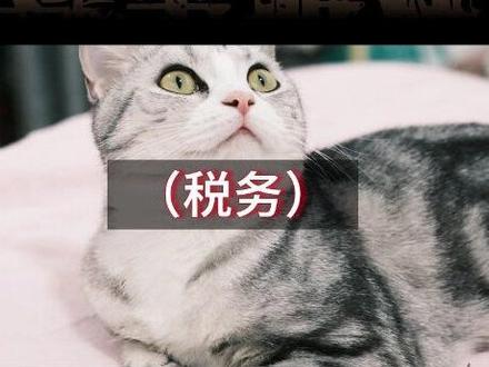 证监会点名“基金避税”