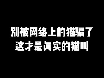这才是真实的猫叫,都知道了吗?#布偶猫 #萌宠出道计划 #猫 #正在直播中