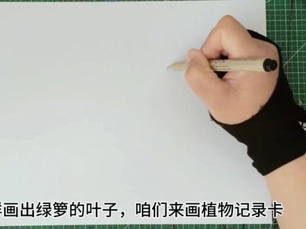 春天来了,画植物记录卡的日子又来了。 #植物记录卡 #植物记录卡手抄报 #绿箩手抄报 #我的植物朋友记录卡 #自然笔记的手抄报